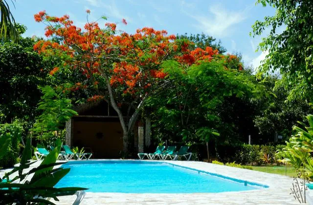 Bali Hai Cabarete jardin piscine